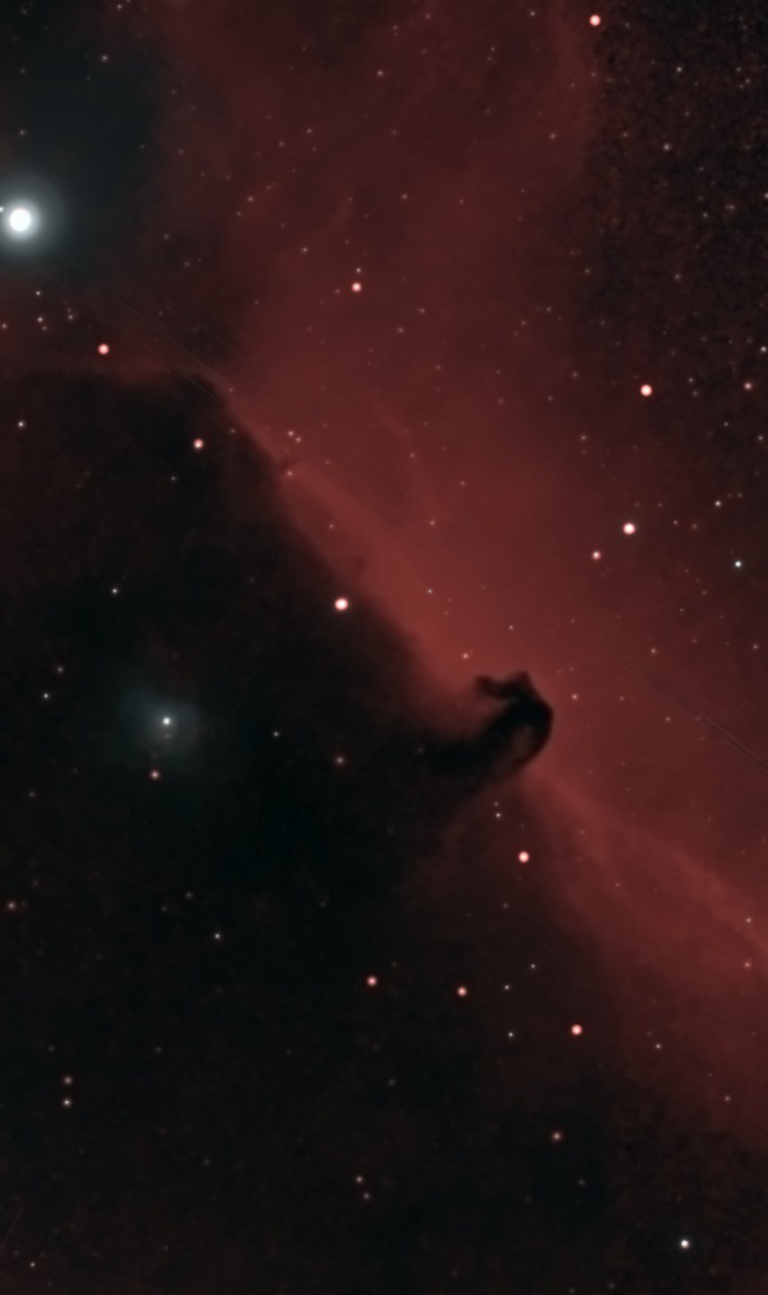 The Horsehead Nebula photographed from Lakeway, Texas with a ZWO Seestar S50: a dark horse-head silhouette of dust rising from a black cloud against a glowing red curtain of hydrogen, with the bright belt star Alnitak at upper left and the small glowing nebula NGC 2023 in the dark cloud below it.