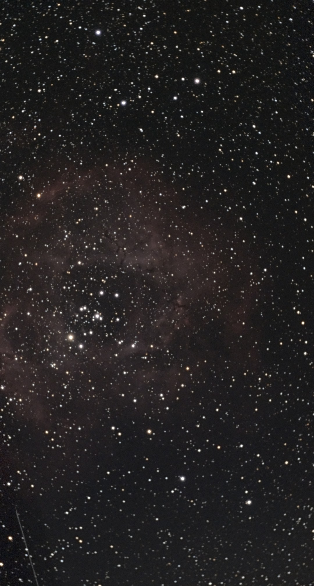 First 24 minutes on the Rosette Nebula (C49) from Lakeway, Texas with a ZWO Seestar S50 Pro — the central star cluster NGC 2244 sharp and bright, with the ring of nebulosity and its dark dust lanes just beginning to emerge.