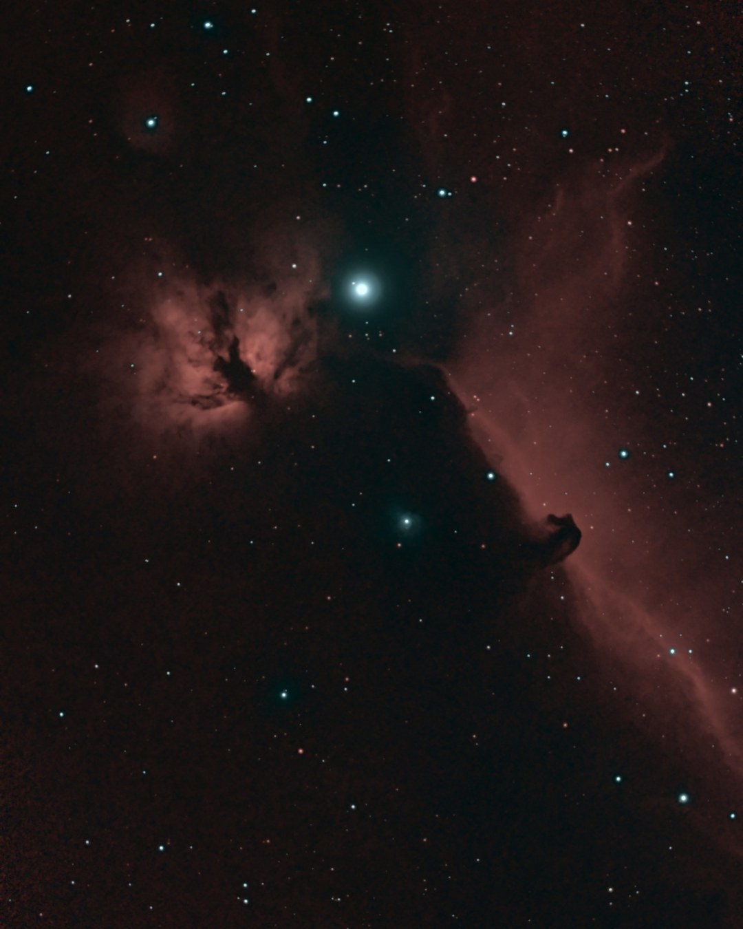 A widefield view in Orion photographed from Lakeway, Texas with a ZWO Seestar S50 Pro: the Flame Nebula glowing orange-red at left with dark dust lanes through it, the bright star Alnitak above center, and the dark Horsehead silhouette against a red curtain of hydrogen at right.