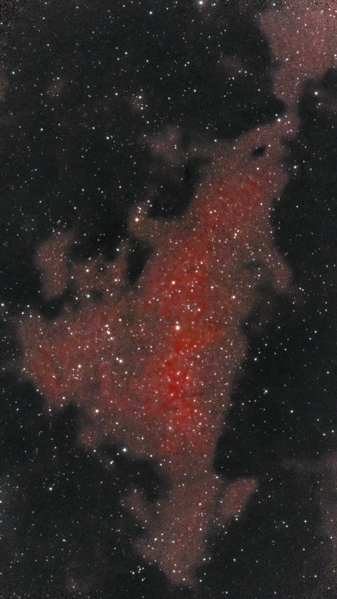 The Butterfly Nebula (IC 1318) photographed from Lakeway, Texas with a ZWO Seestar S50 — a deep red emission field cut through by coal-black dust rifts, dense with foreground stars.