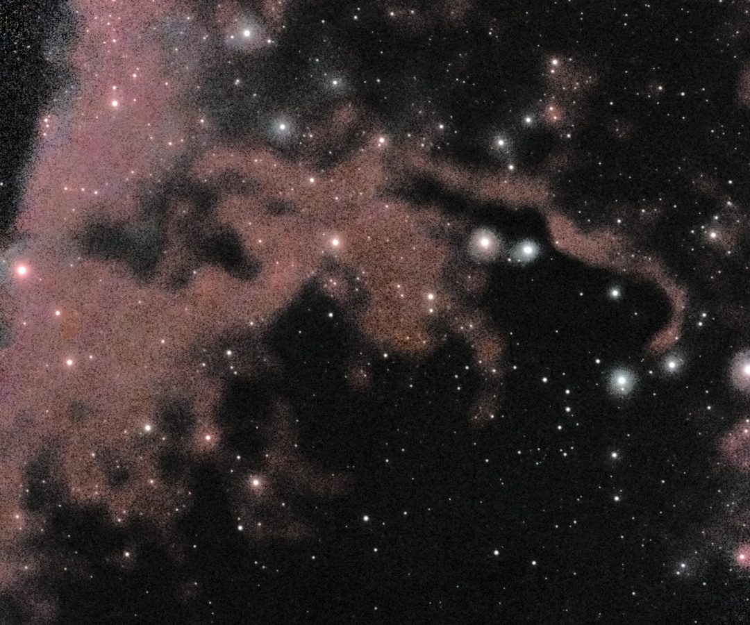 The Elephant's Trunk Nebula (IC 1396A) photographed from Lakeway, Texas with a ZWO Seestar S50 — a dark sinuous globule silhouetted against faint salmon-pink hydrogen glow, with a curled head and rim lighting along its edges.