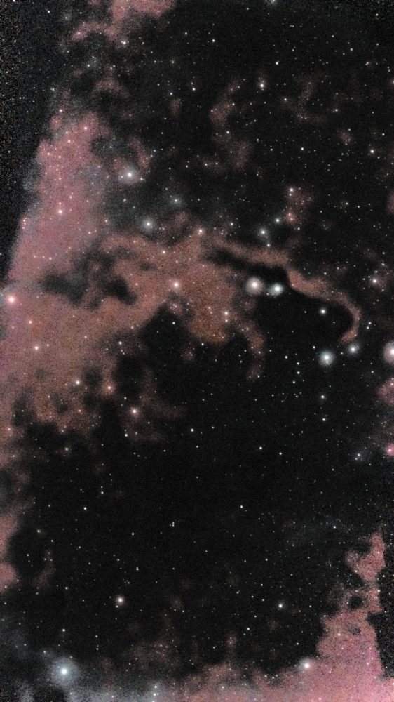 Full-frame view: The Elephant's Trunk Nebula (IC 1396A) photographed from Lakeway, Texas with a ZWO Seestar S50 — a dark sinuous globule silhouetted against faint salmon-pink hydrogen glow, with a curled head and rim lighting along its edges.