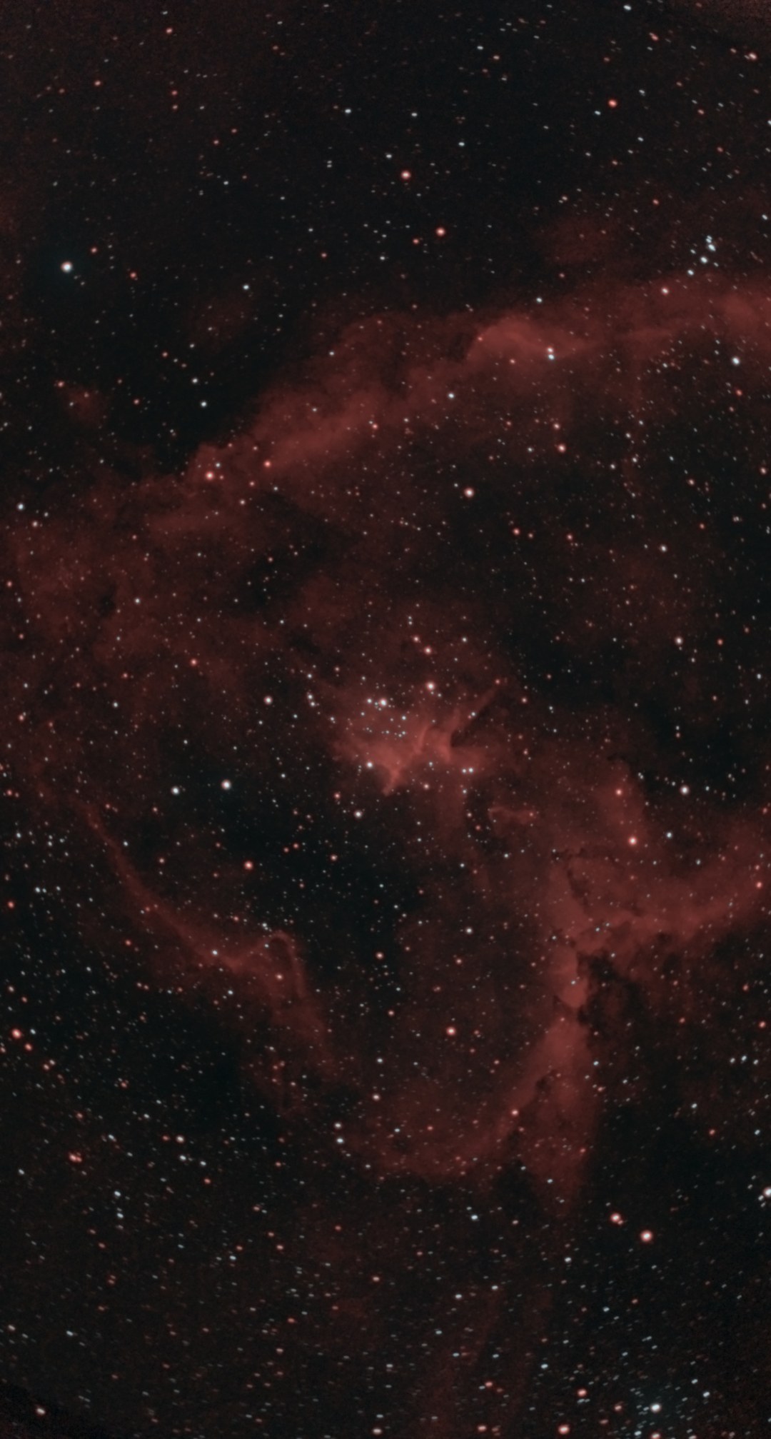 The Heart Nebula (IC 1805) photographed from Lakeway, Texas with a ZWO Seestar S50 Pro — a vast crimson emission nebula filling the frame, its glowing shell cut by dark bays, with the young star cluster Melotte 15 shining at the center.