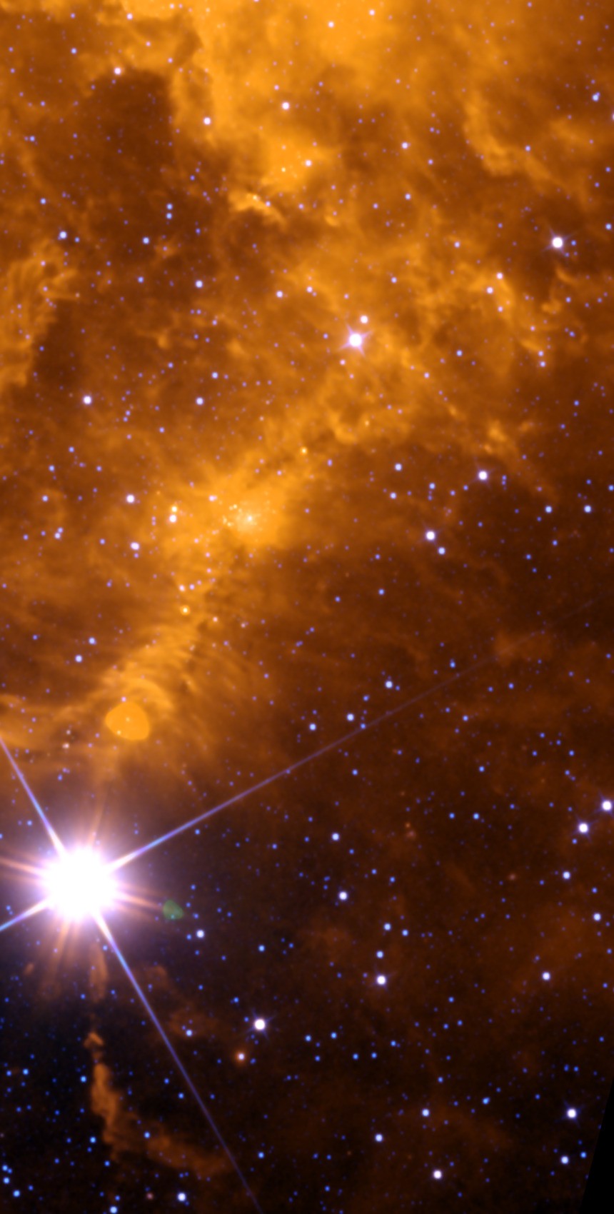 The Jellyfish Nebula field in infrared from NASA WISE data, star-registered to the same framing as the backyard photo — the remnant’s shock ridge crossing mid-frame through a wall of warm dust, with the bright star Eta Geminorum blazing with diffraction spikes at lower left.