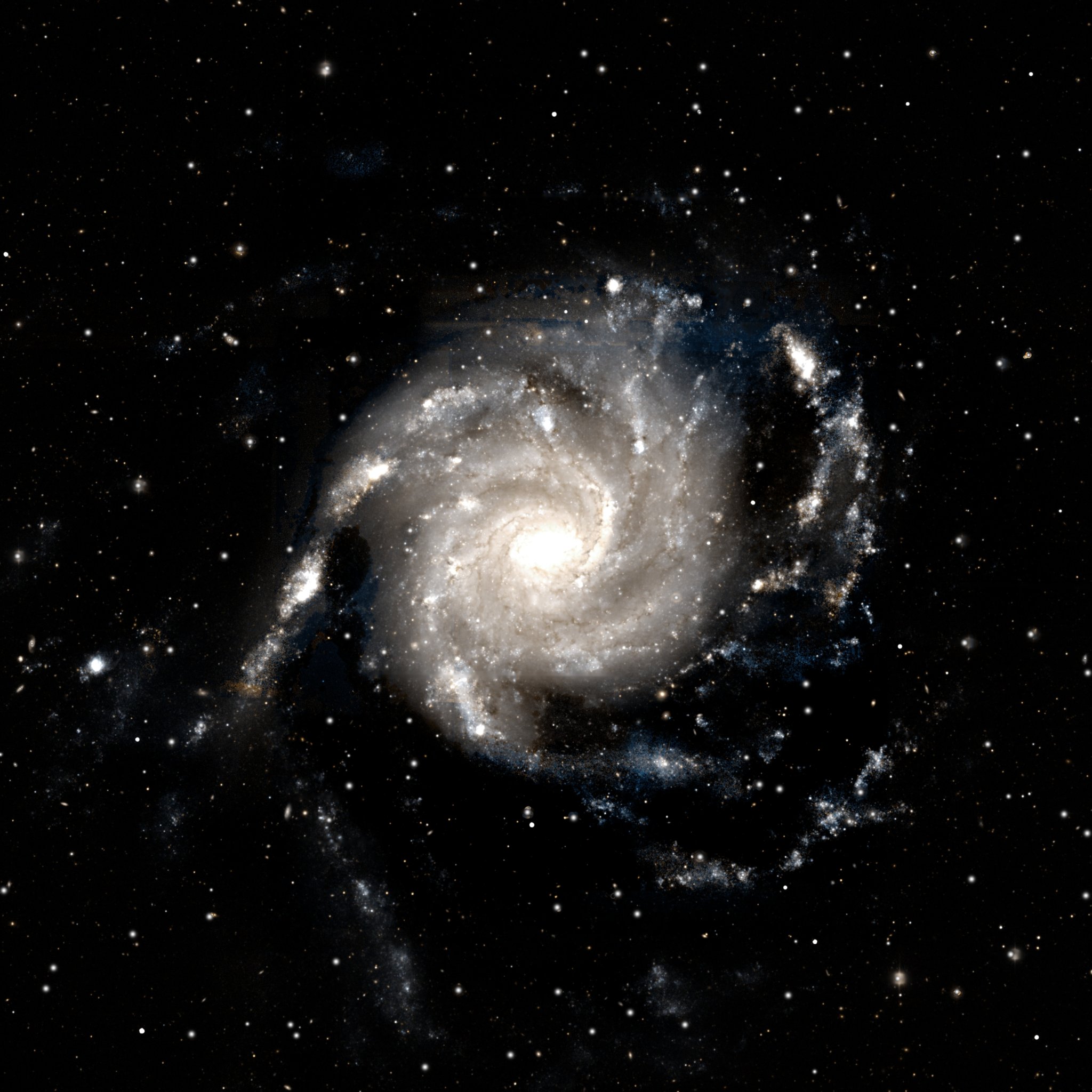 The Pinwheel Galaxy (M101) from DESI Legacy Survey data reprocessed by Kyle Eberly — a sprawling face-on spiral in silver and cream, visibly lopsided, its western arms interrupted by a genuine dark gap.