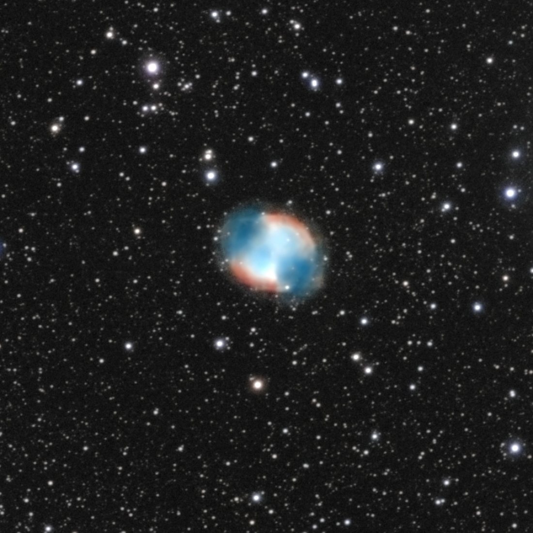 The Dumbbell Nebula (M27) photographed from Lakeway, Texas with a ZWO Seestar S50 Pro — a teal-blue apple-core-shaped planetary nebula with red rim caps, in a dense field of white and gold stars. A dual-filter composite.