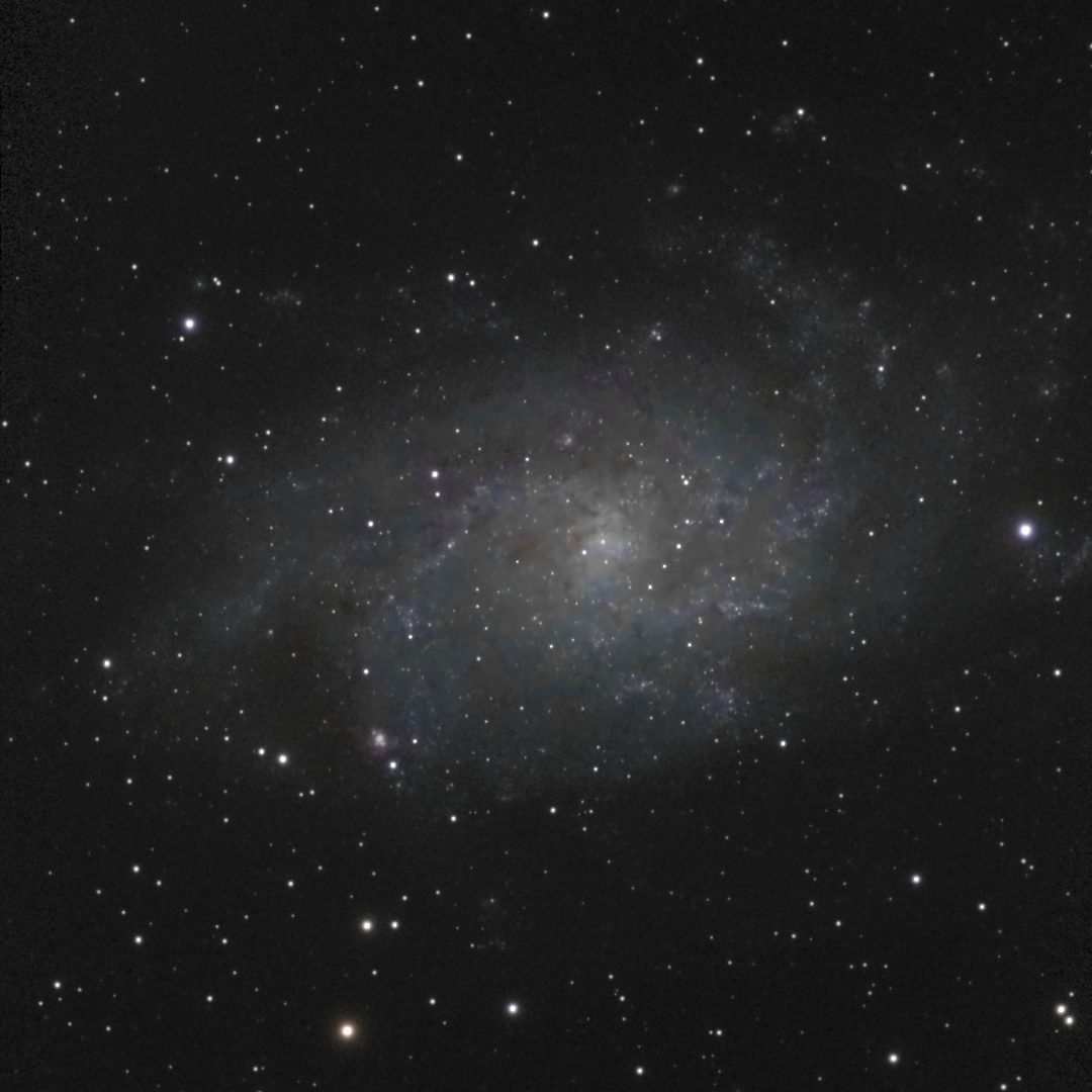 The Triangulum Galaxy (M33) photographed from Lakeway, Texas with a ZWO Seestar S50 — a loose face-on spiral with blue star clouds and pink star-forming regions scattered along its arms.