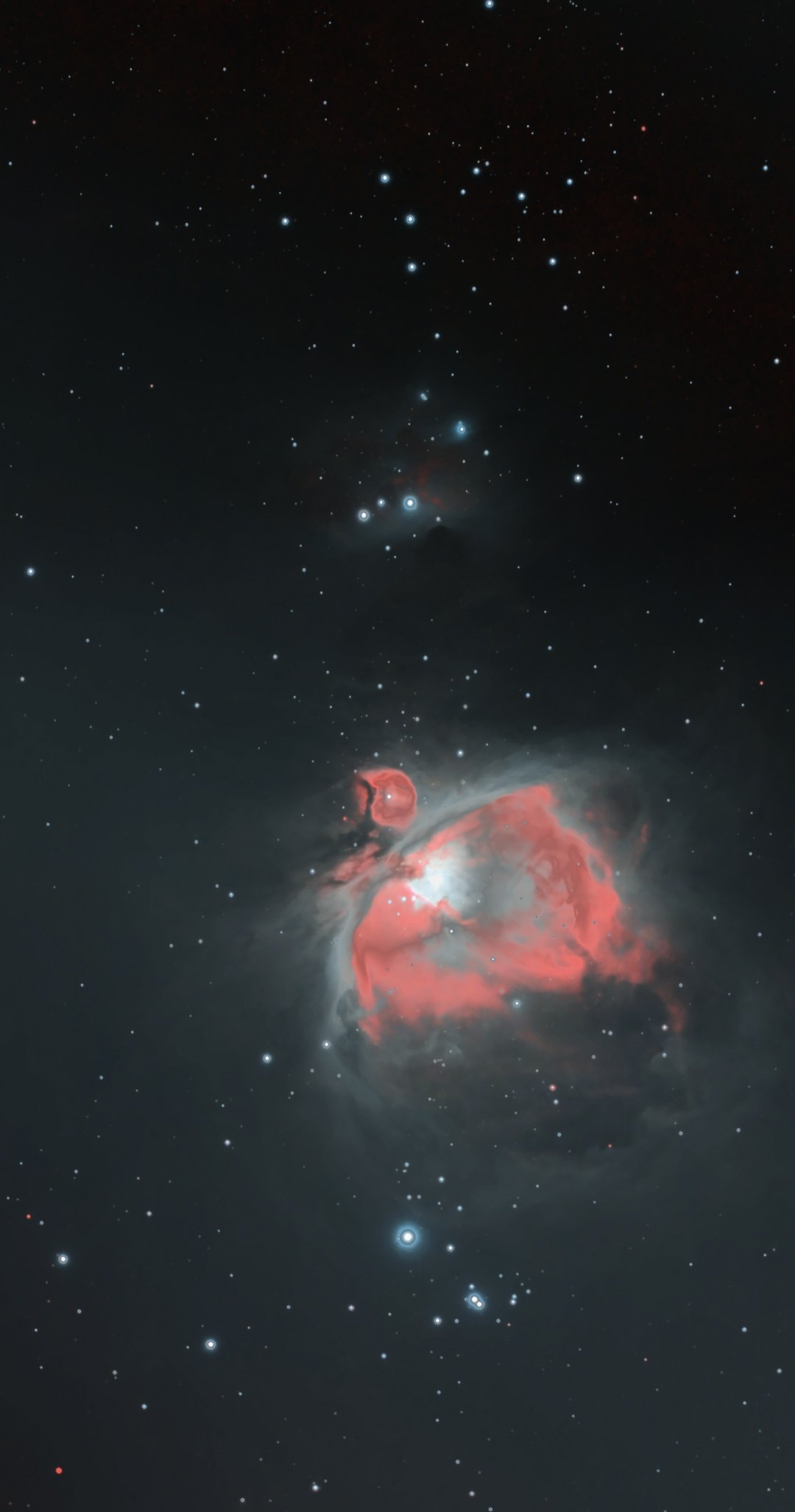 A tall widefield view of Orion’s sword photographed from Lakeway, Texas with a ZWO Seestar S50 Pro: the red and white Orion Nebula with its small round companion M43 in the lower half, the faint Running Man Nebula and the star cluster NGC 1981 above it, and the bright star Iota Orionis below.