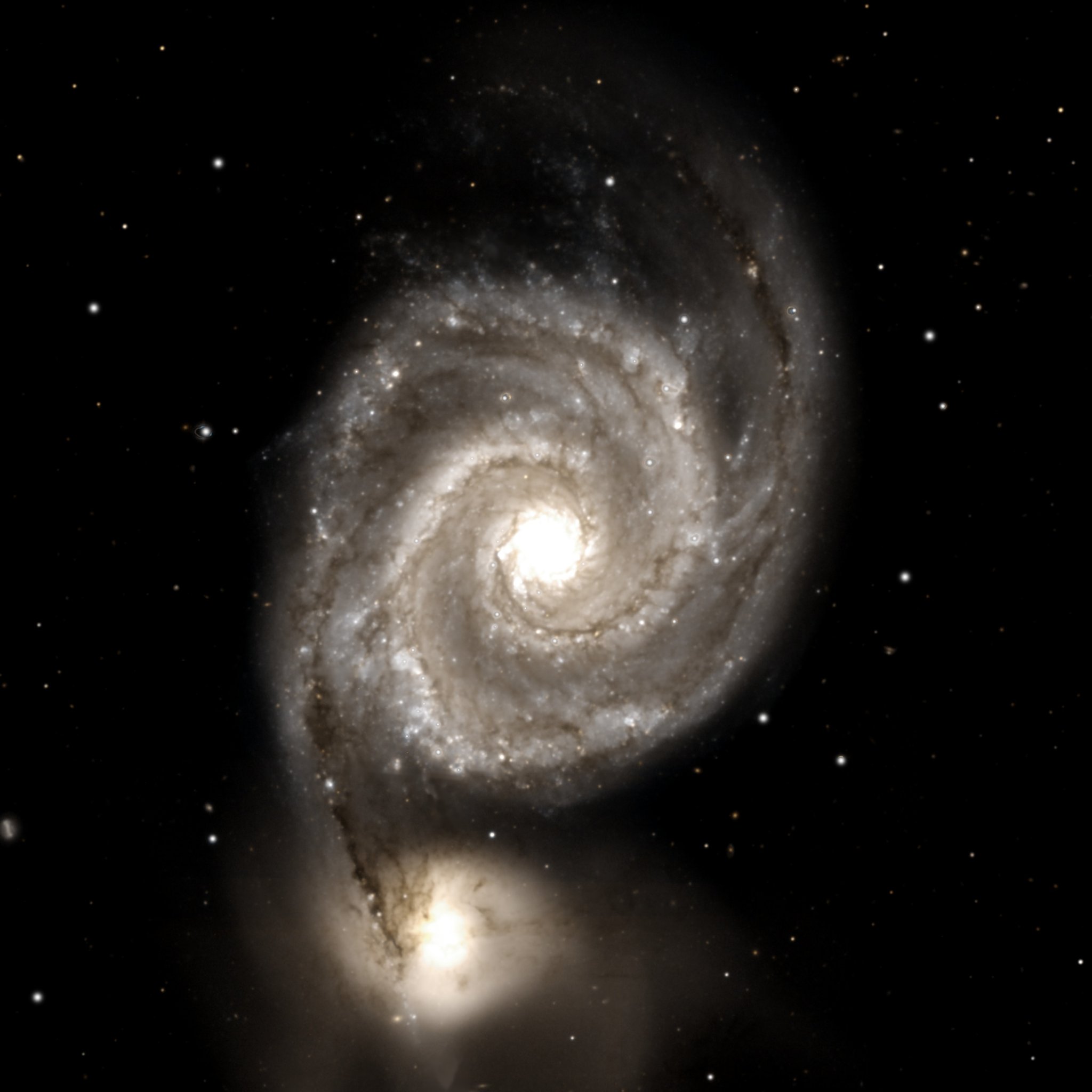 The Whirlpool Galaxy (M51) from DESI Legacy Survey data reprocessed by Kyle Eberly — a face-on grand-design spiral in silver and warm gold, its companion galaxy NGC 5195 attached below, with tidal debris visible around both.