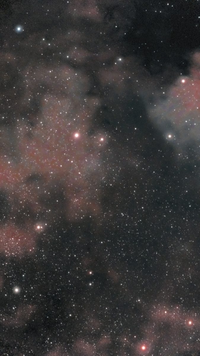 The interior of the North America Nebula (NGC 7000) photographed from Lakeway, Texas with a ZWO Seestar S50 — salmon-red hydrogen glow filling the entire frame, threaded with dark dust channels, with the coal-black Gulf of Mexico dust lane in the corner.